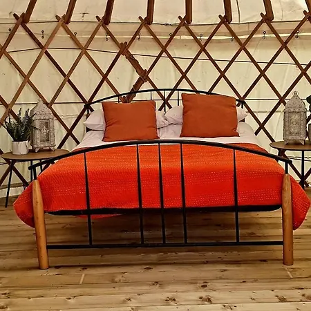 The Wood Yurt Tullow